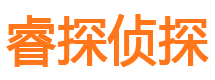 共青城侦探公司